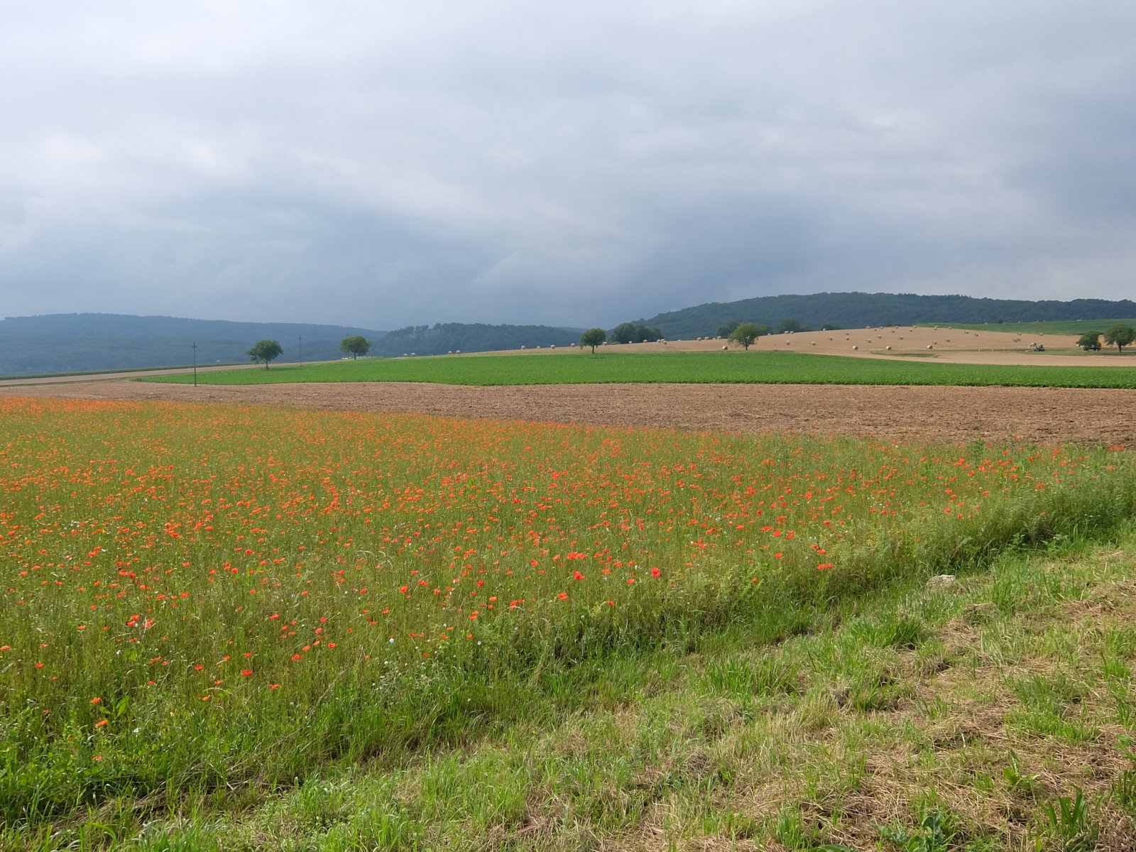 DSCF0401