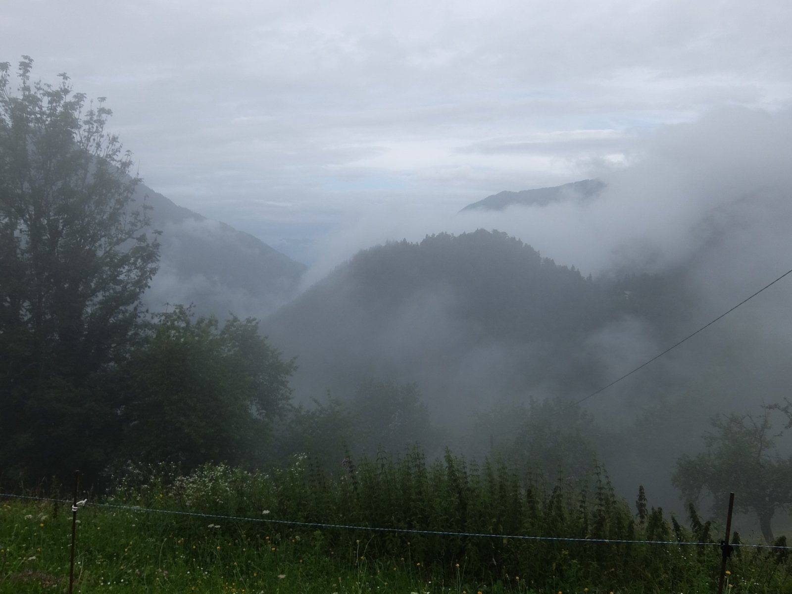 DSCF0533