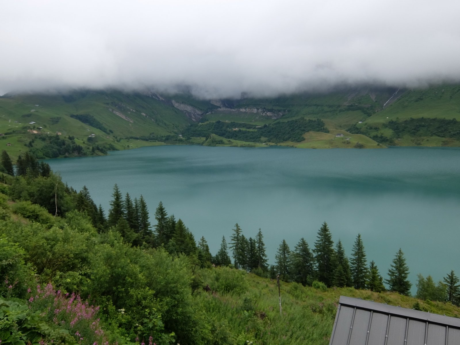 DSCF0548
