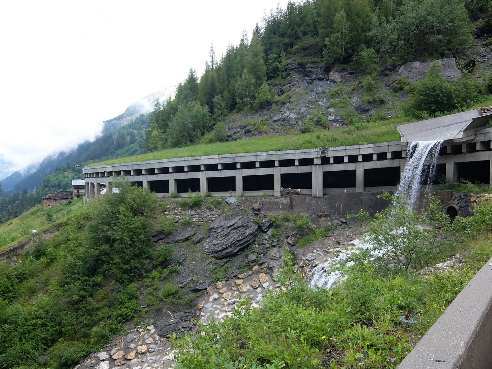 DSCF0621