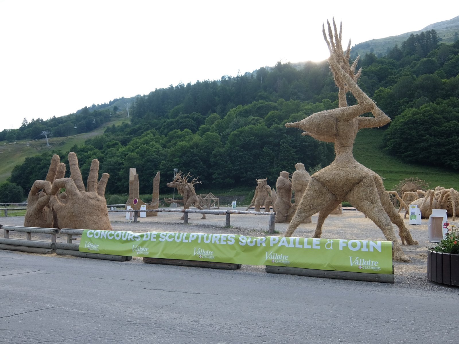 DSCF0854