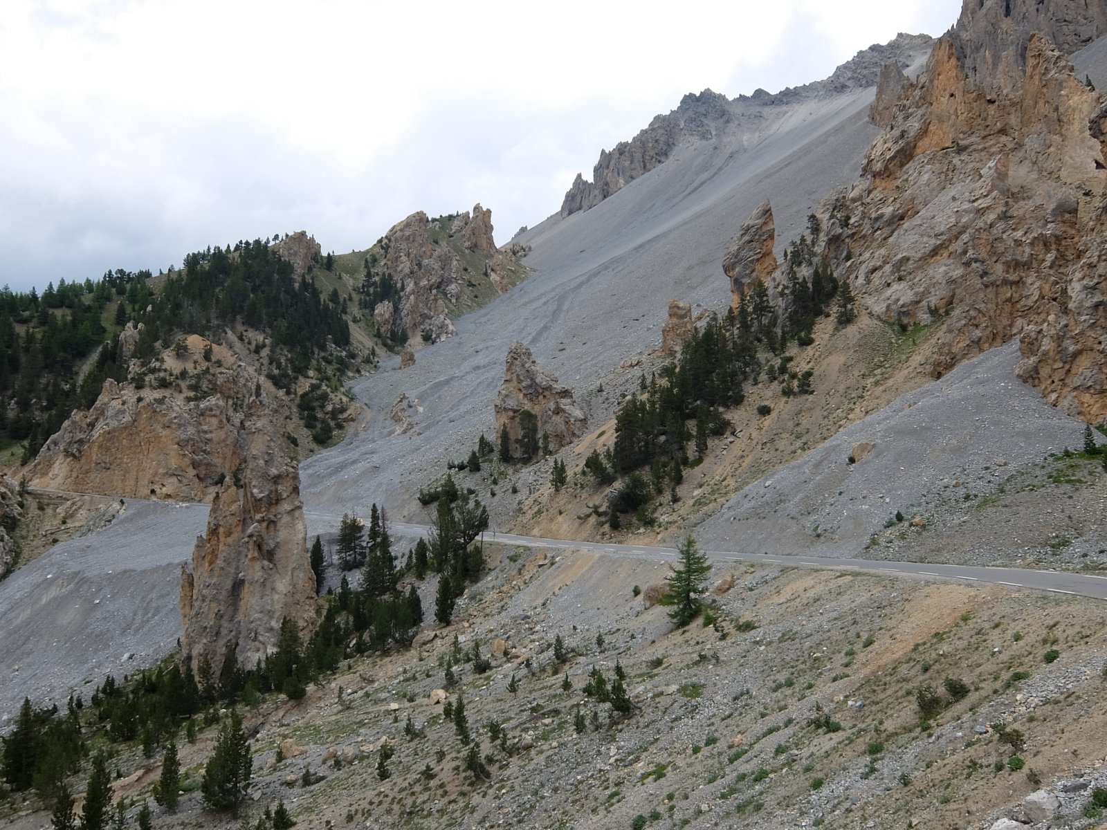 DSCF0994