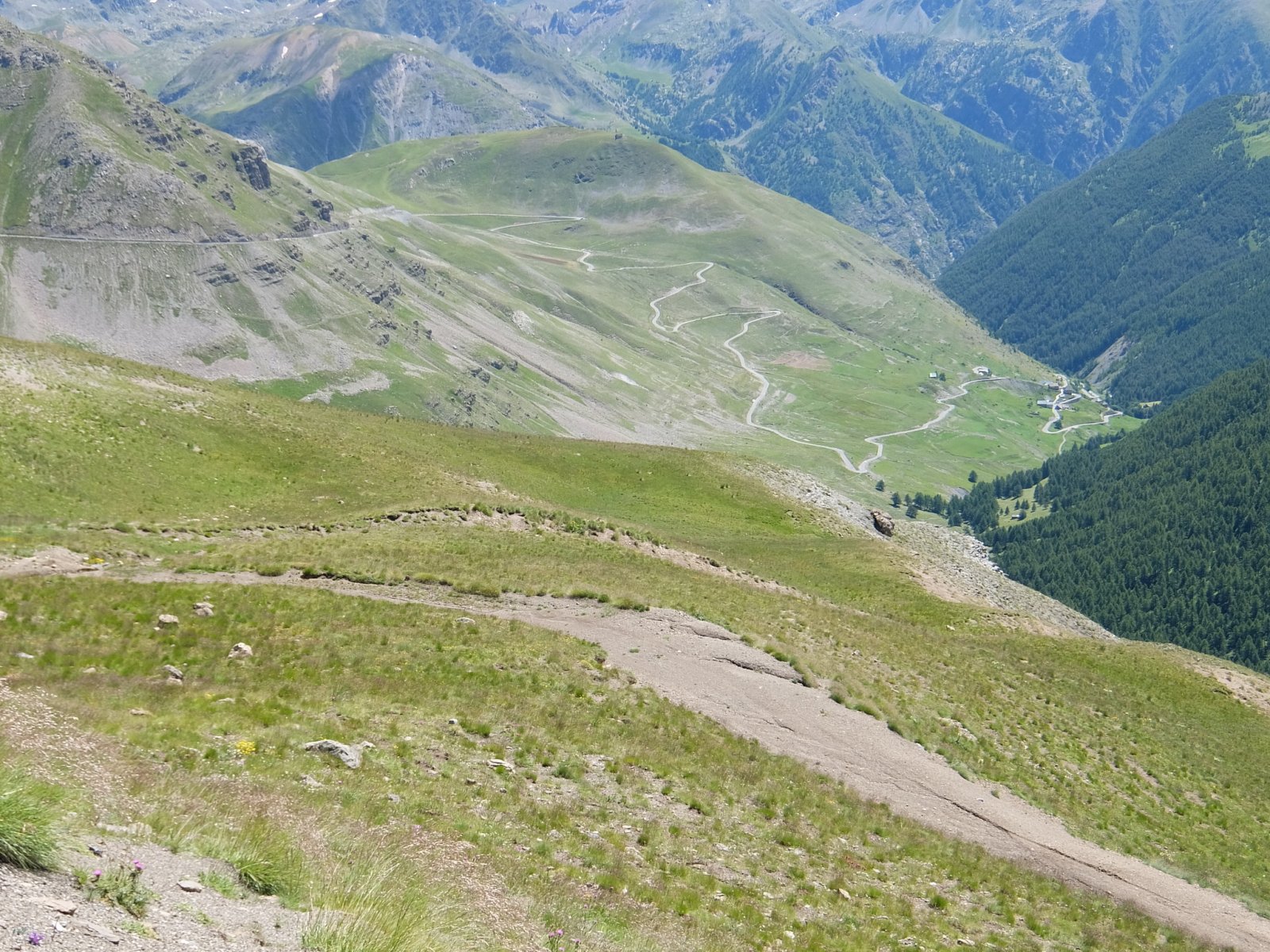 DSCF1349