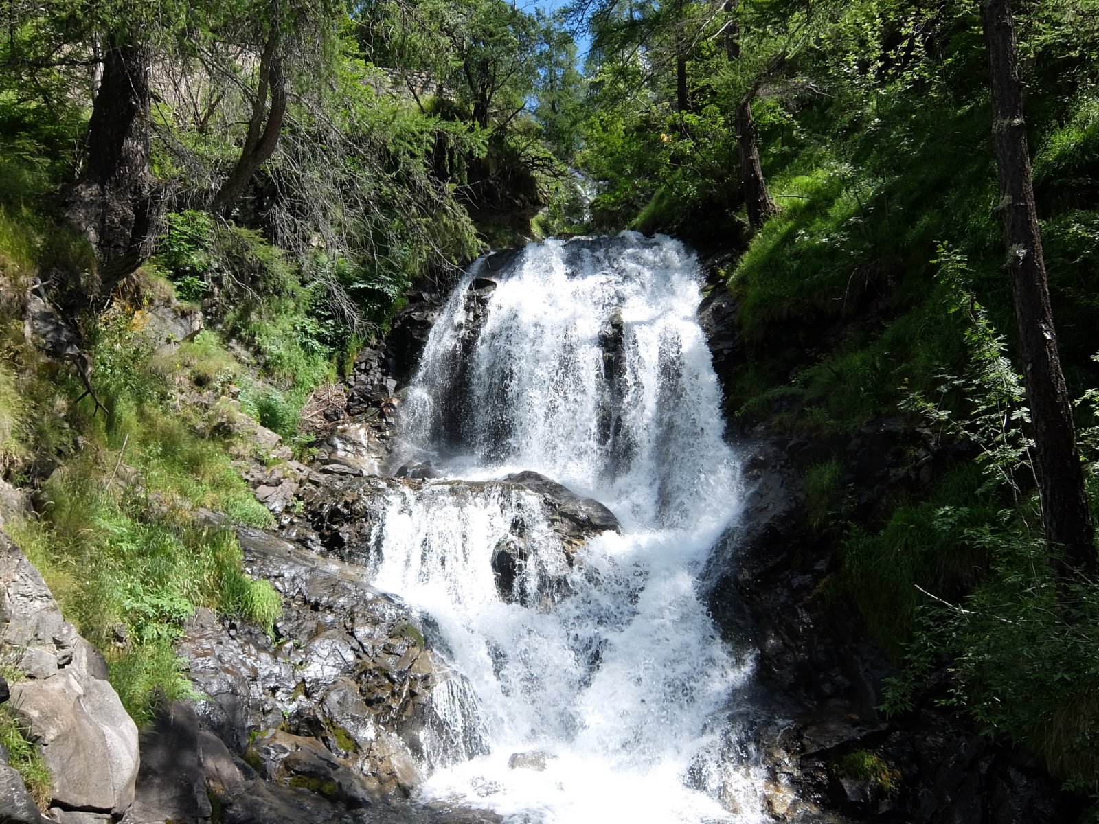 DSCF1377