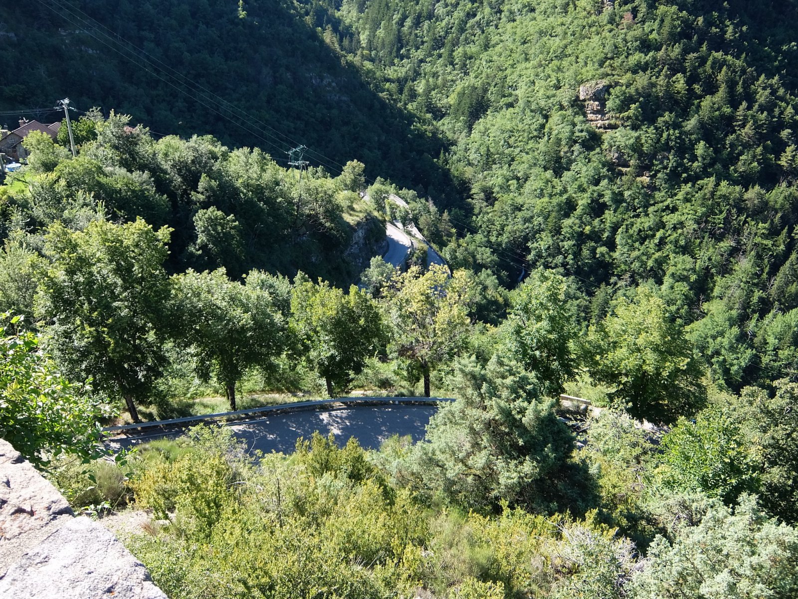DSCF1484