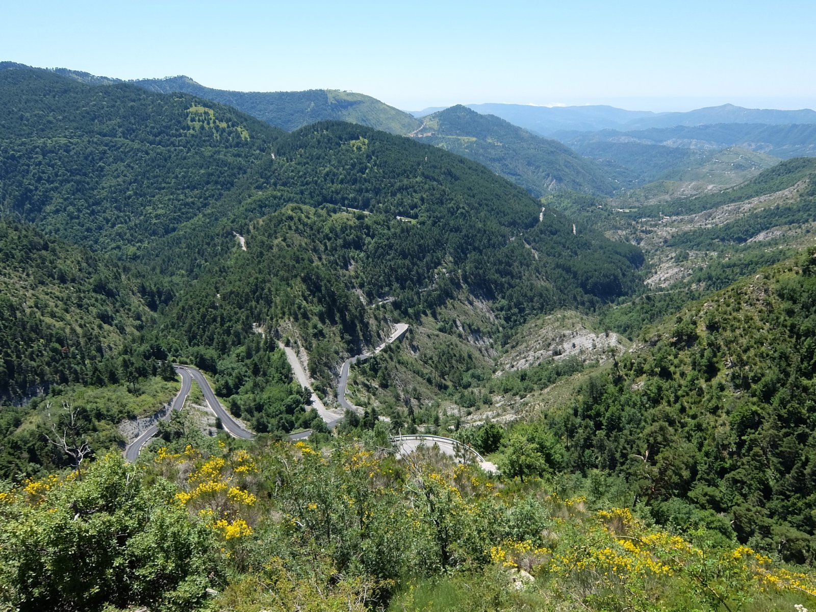 DSCF1548