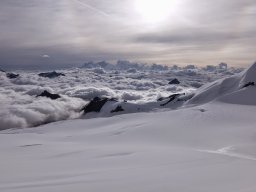 Alphubel Aout 2014