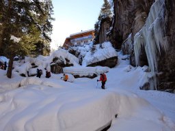 Bundstock Mars 2015