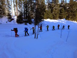 Bundstock Mars 2015