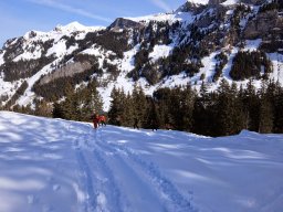 Bundstock Mars 2015