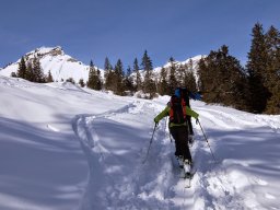 Bundstock Mars 2015