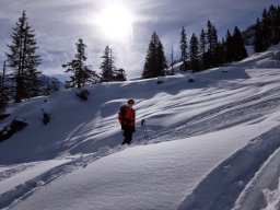 Bundstock Mars 2015