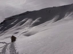 Bundstock Mars 2015