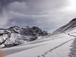 Bundstock Mars 2015
