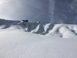 Bundstock Mars 2015