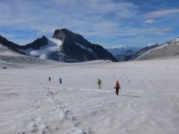 Finsteraarhorn Aout 2015