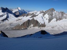 Finsteraarhorn Aout 2015