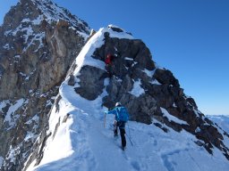 Finsteraarhorn Aout 2015