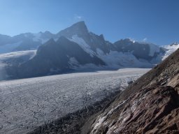 Finsteraarhorn Aout 2015