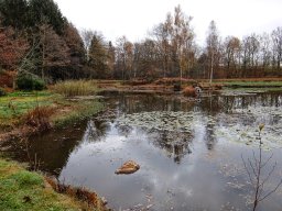 Rando VTT 1000 Etangs Novembre 2015