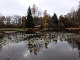 Rando VTT 1000 Etangs Novembre 2015