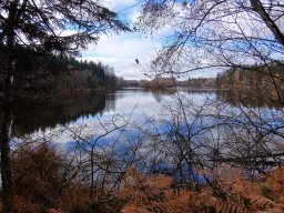 Rando VTT 1000 Etangs Novembre 2015