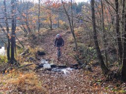 Rando VTT 1000 Etangs Novembre 2015