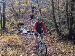 Rando VTT 1000 Etangs Novembre 2015