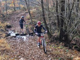 Rando VTT 1000 Etangs Novembre 2015