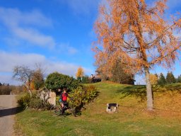 Rando VTT 1000 Etangs Novembre 2015