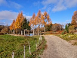 Rando VTT 1000 Etangs Novembre 2015