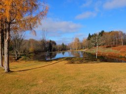 Rando VTT 1000 Etangs Novembre 2015