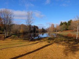 Rando VTT 1000 Etangs Novembre 2015