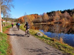 Rando VTT 1000 Etangs Novembre 2015