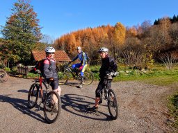 Rando VTT 1000 Etangs Novembre 2015