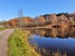 Rando VTT 1000 Etangs Novembre 2015