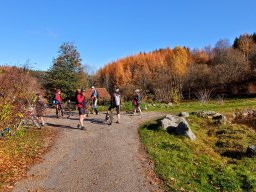 Rando VTT 1000 Etangs Novembre 2015