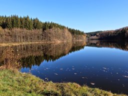 Rando VTT 1000 Etangs Novembre 2015