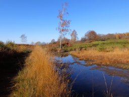 Rando VTT 1000 Etangs Novembre 2015