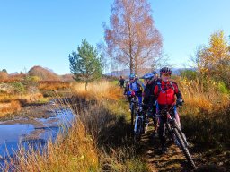 Rando VTT 1000 Etangs Novembre 2015