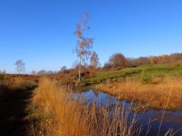 Rando VTT 1000 Etangs Novembre 2015