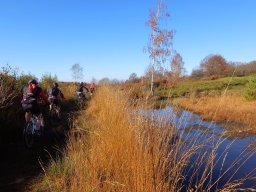 Rando VTT 1000 Etangs Novembre 2015