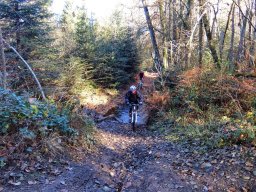 Rando VTT 1000 Etangs Novembre 2015
