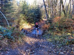 Rando VTT 1000 Etangs Novembre 2015