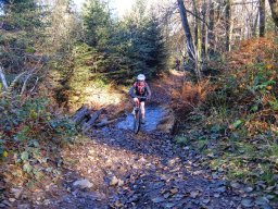 Rando VTT 1000 Etangs Novembre 2015