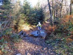 Rando VTT 1000 Etangs Novembre 2015