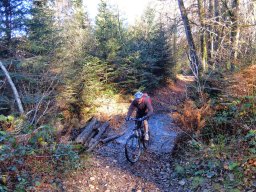 Rando VTT 1000 Etangs Novembre 2015
