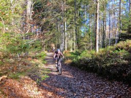 Rando VTT 1000 Etangs Novembre 2015
