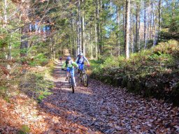 Rando VTT 1000 Etangs Novembre 2015