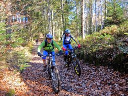 Rando VTT 1000 Etangs Novembre 2015